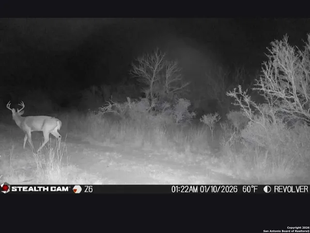 a picture of floor and yard