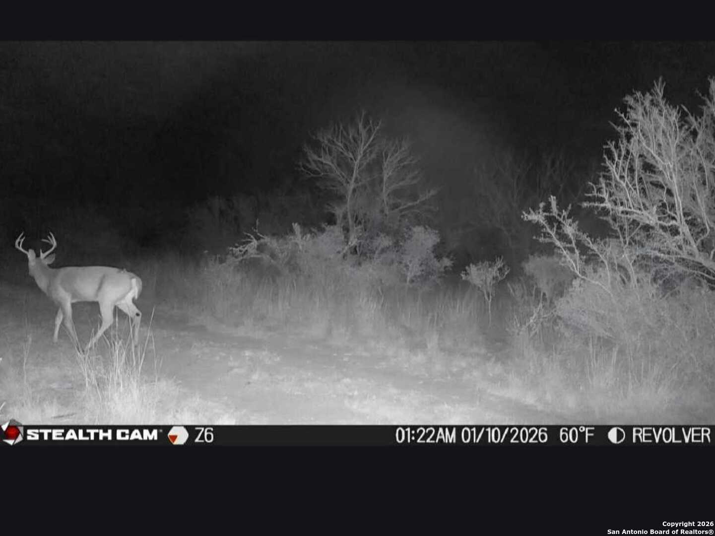 A-735 Franklin Ranch Road Jourdanton, TX 78026 - Photo 13 of 17