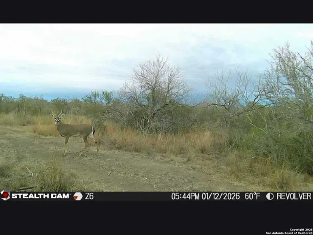 a view of a outdoor space