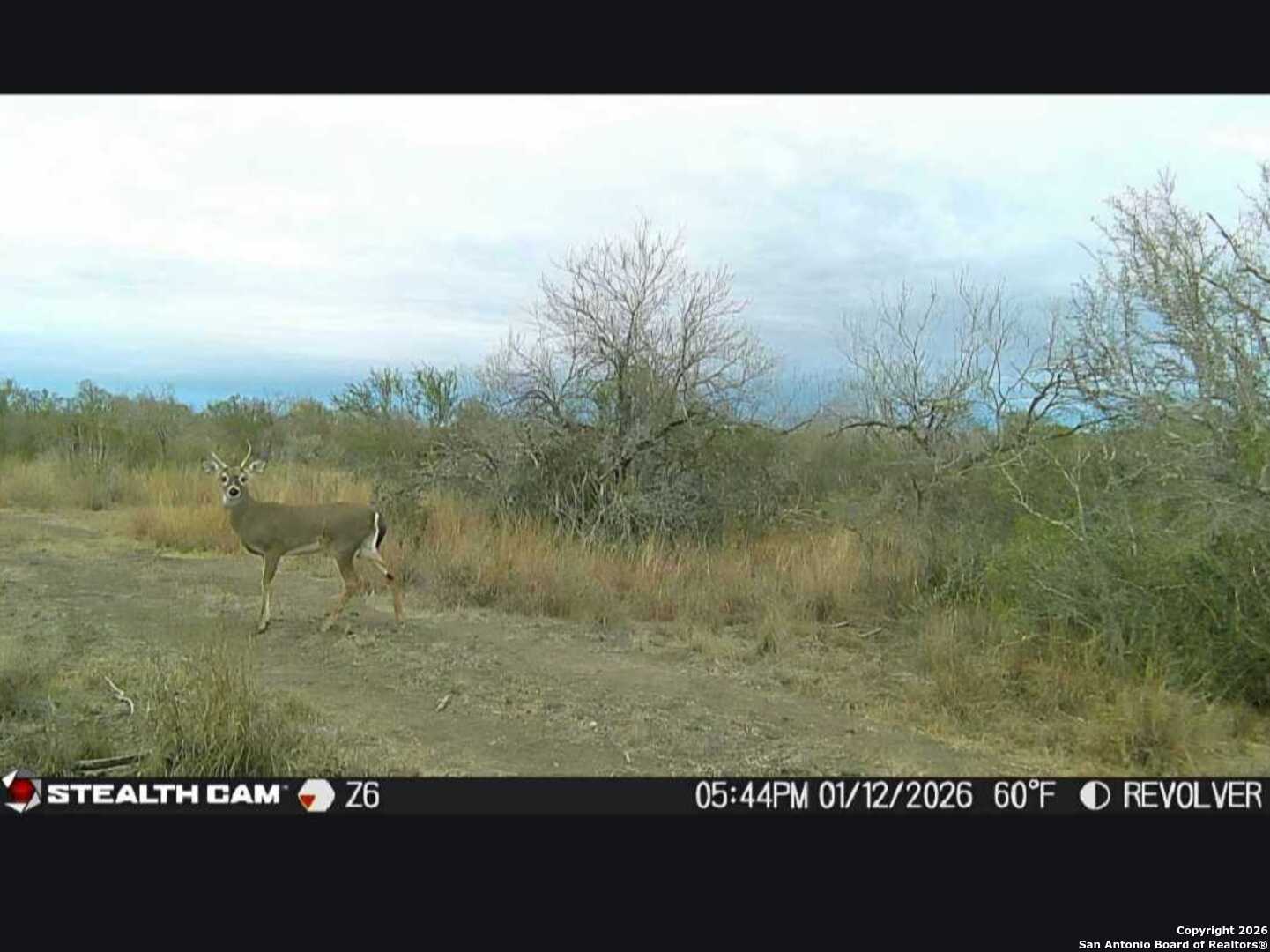 A-735 Franklin Ranch Road Jourdanton, TX 78026 - Photo 14 of 17 a picture of floor and yard