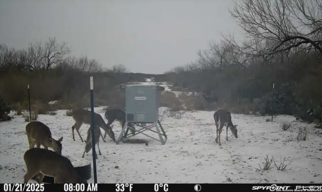 $120,000 | A-735 Franklin Ranch Road, Jourdanton, TX 78026