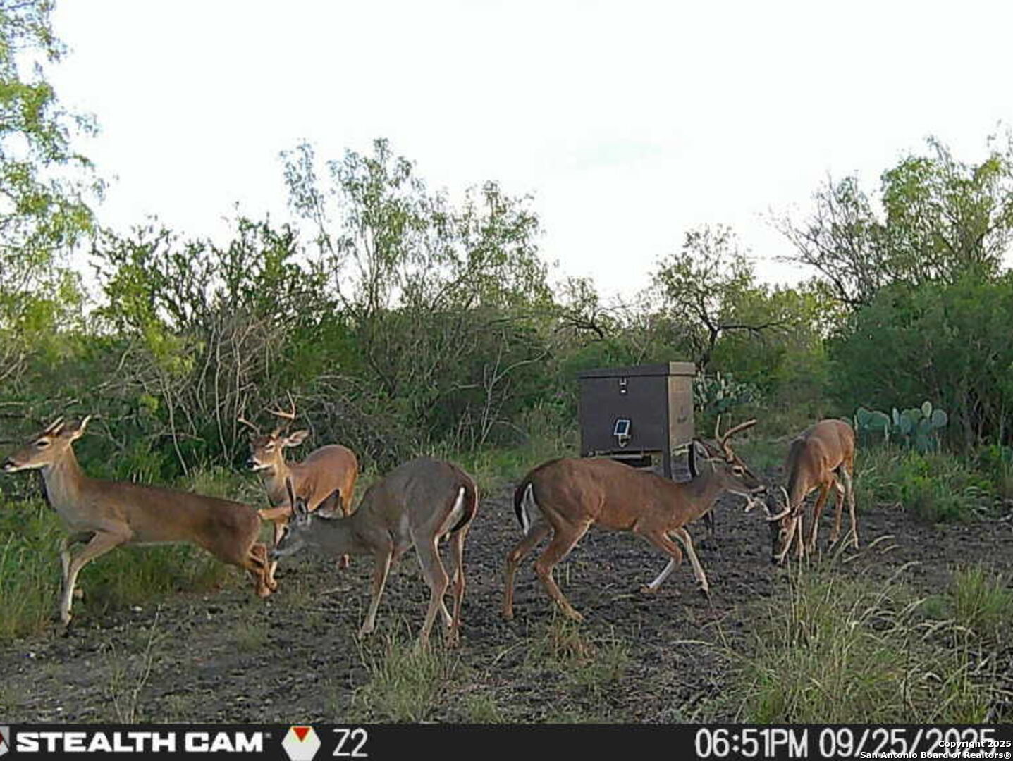 A-735 Franklin Ranch Road Kendalia, TX 78027 - Photo 2 of 14