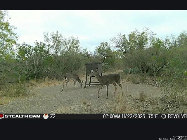 a view of outdoor space