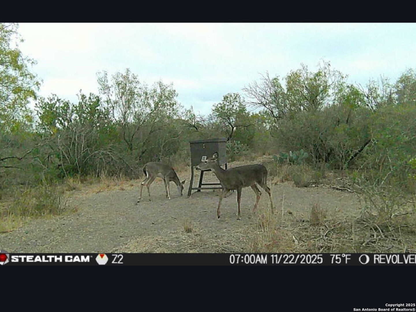 A-735 Franklin Ranch Road Kendalia, TX 78027 - Photo 4 of 14