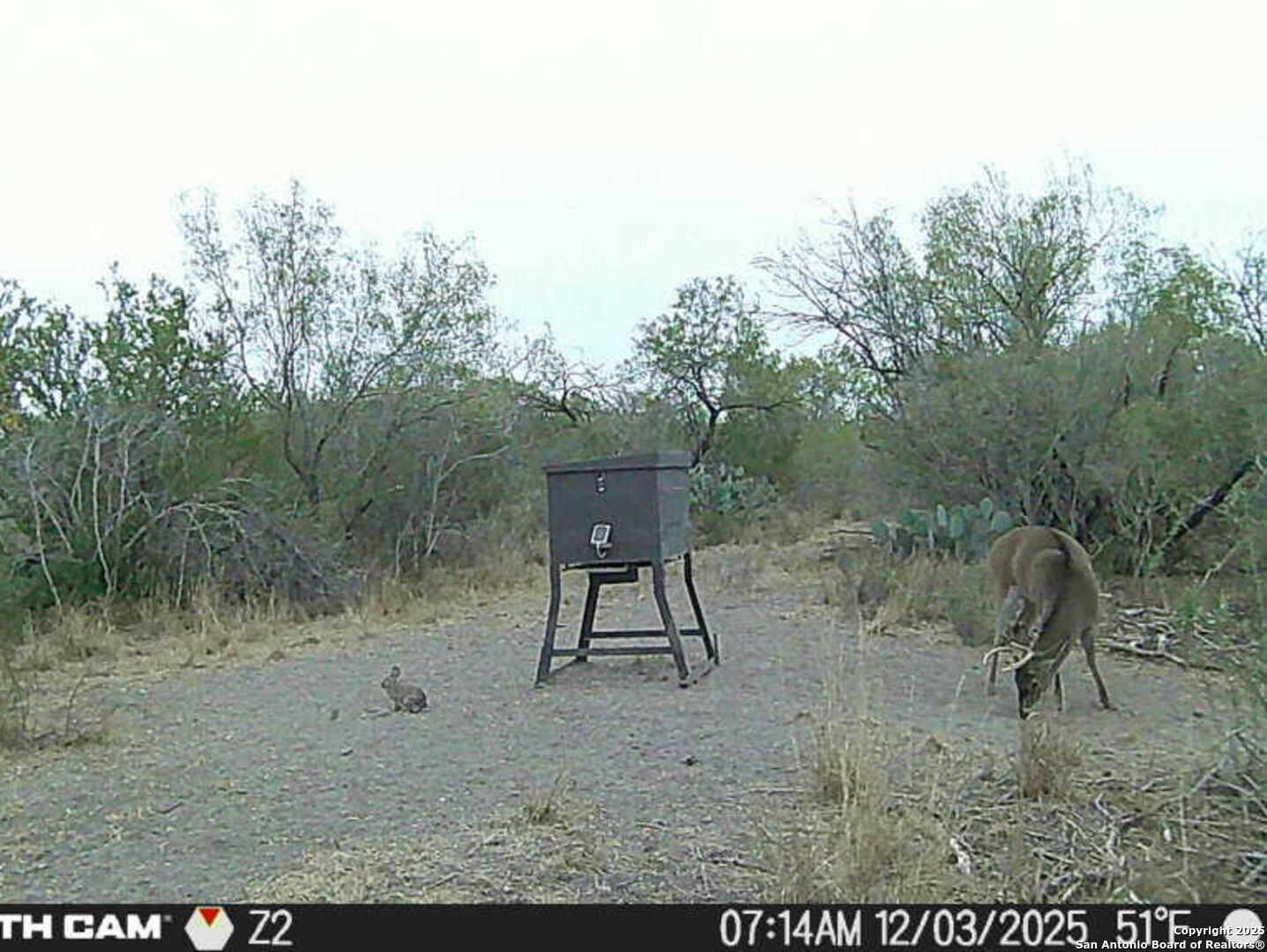 A-735 Franklin Ranch Road Jourdanton, TX 78026 - Photo 8 of 17 a view of a yard