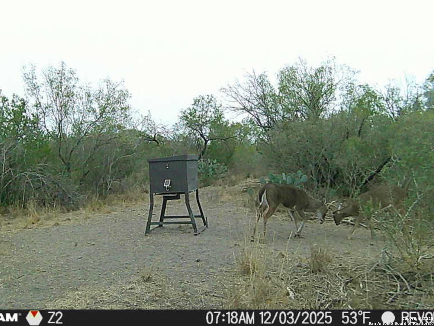 A-735 Franklin Ranch Road Kendalia, TX 78027 - Photo 8 of 14