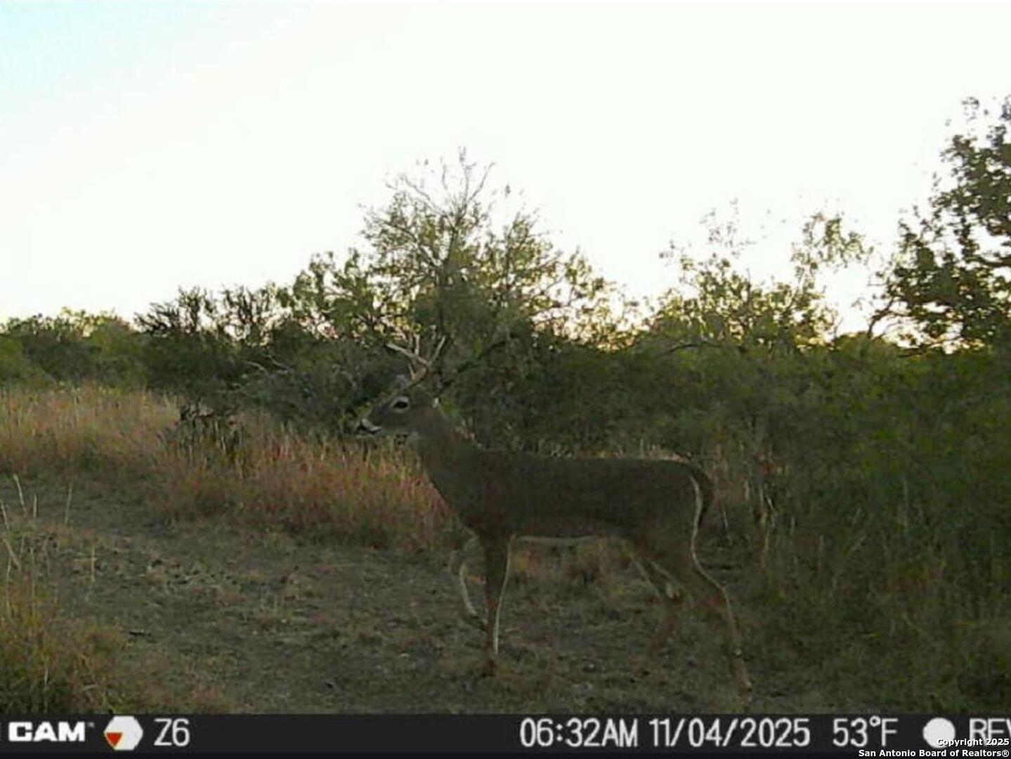 A-735 Franklin Ranch Road Kendalia, TX 78027 - Photo 9 of 14