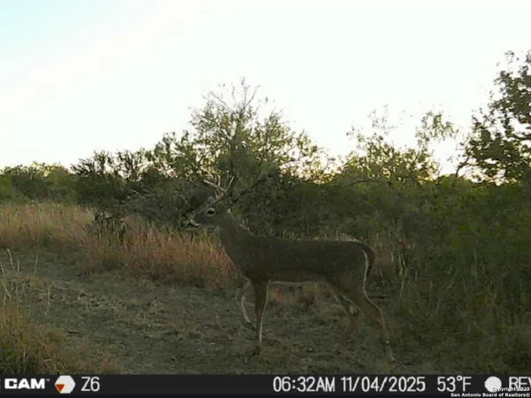 a view of a lake from a yard