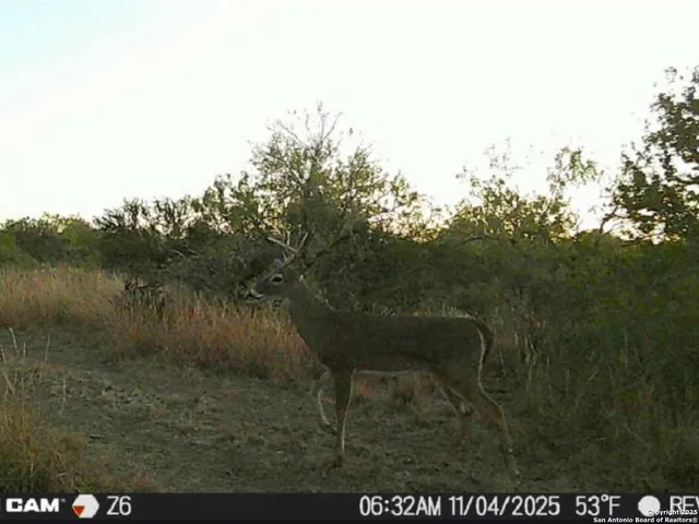 a view of a lake from a yard