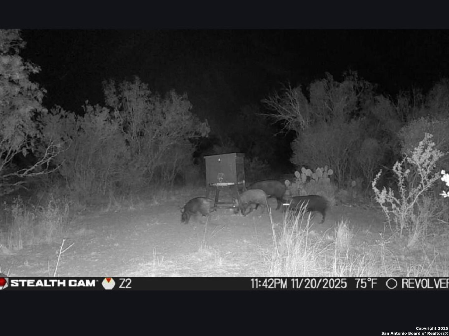 A-735 Franklin Ranch Road Kendalia, TX 78027 - Photo 10 of 14