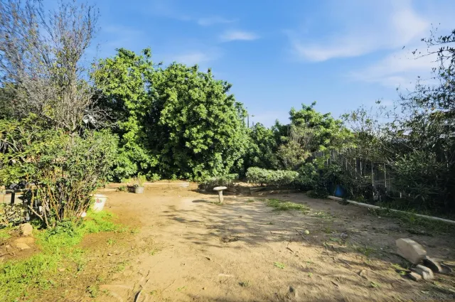 a view of backyard with green space