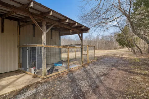 a view of a dry yard with wooden floor