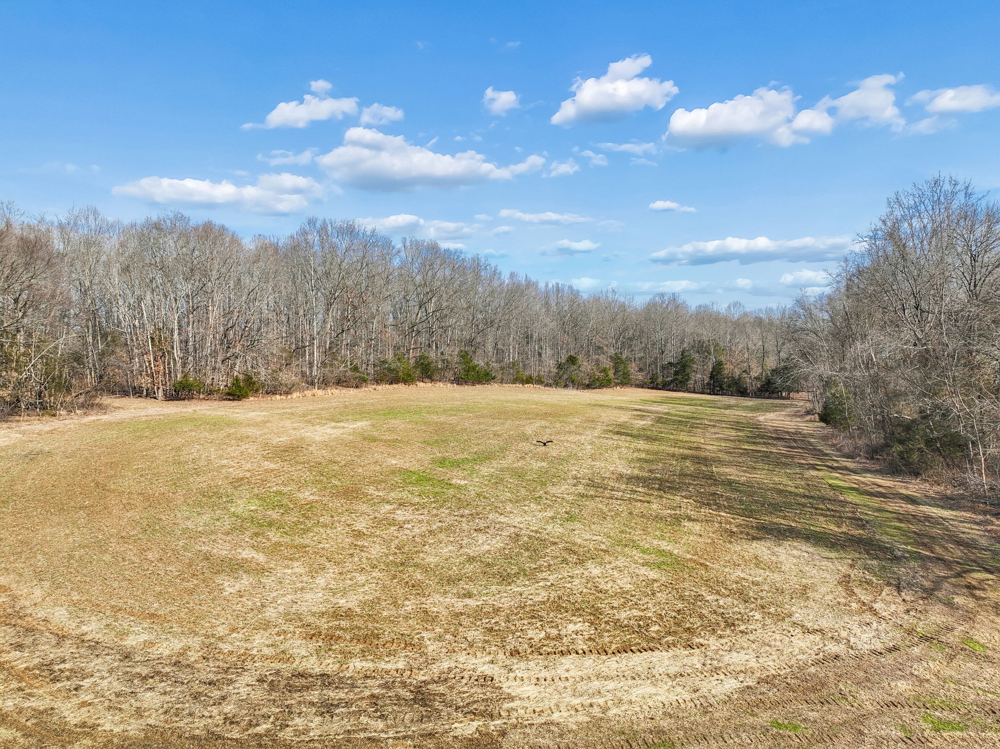 1457 Absher Branch Road Westmoreland, TN 37186 - Photo 50 of 74