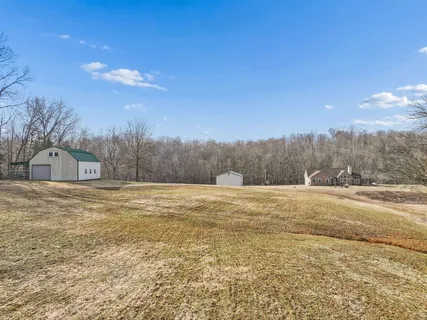 a view of a dry yard with trees