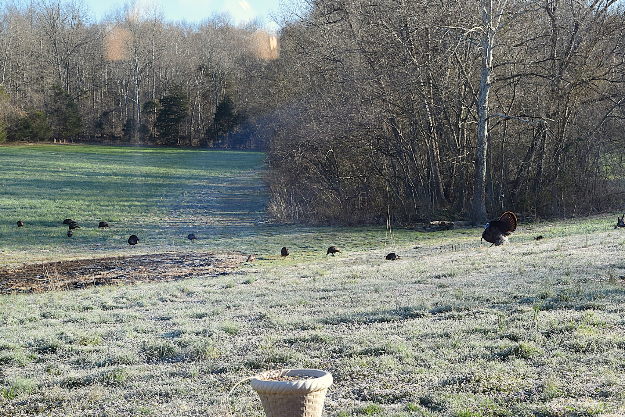 1457 Absher Branch Road Westmoreland, TN 37186 - Photo 64 of 74