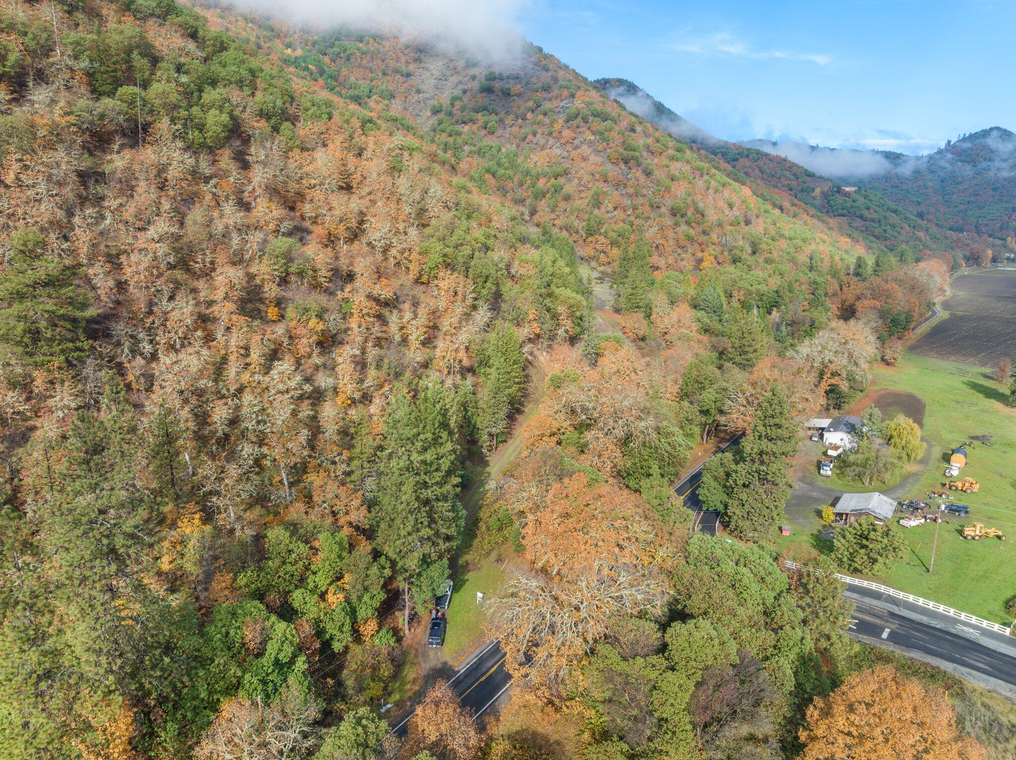 2828 North River Road Gold Hill, OR 97525 - Photo 5 of 16 Property hillside - Trucks at bottom center are on driveway.