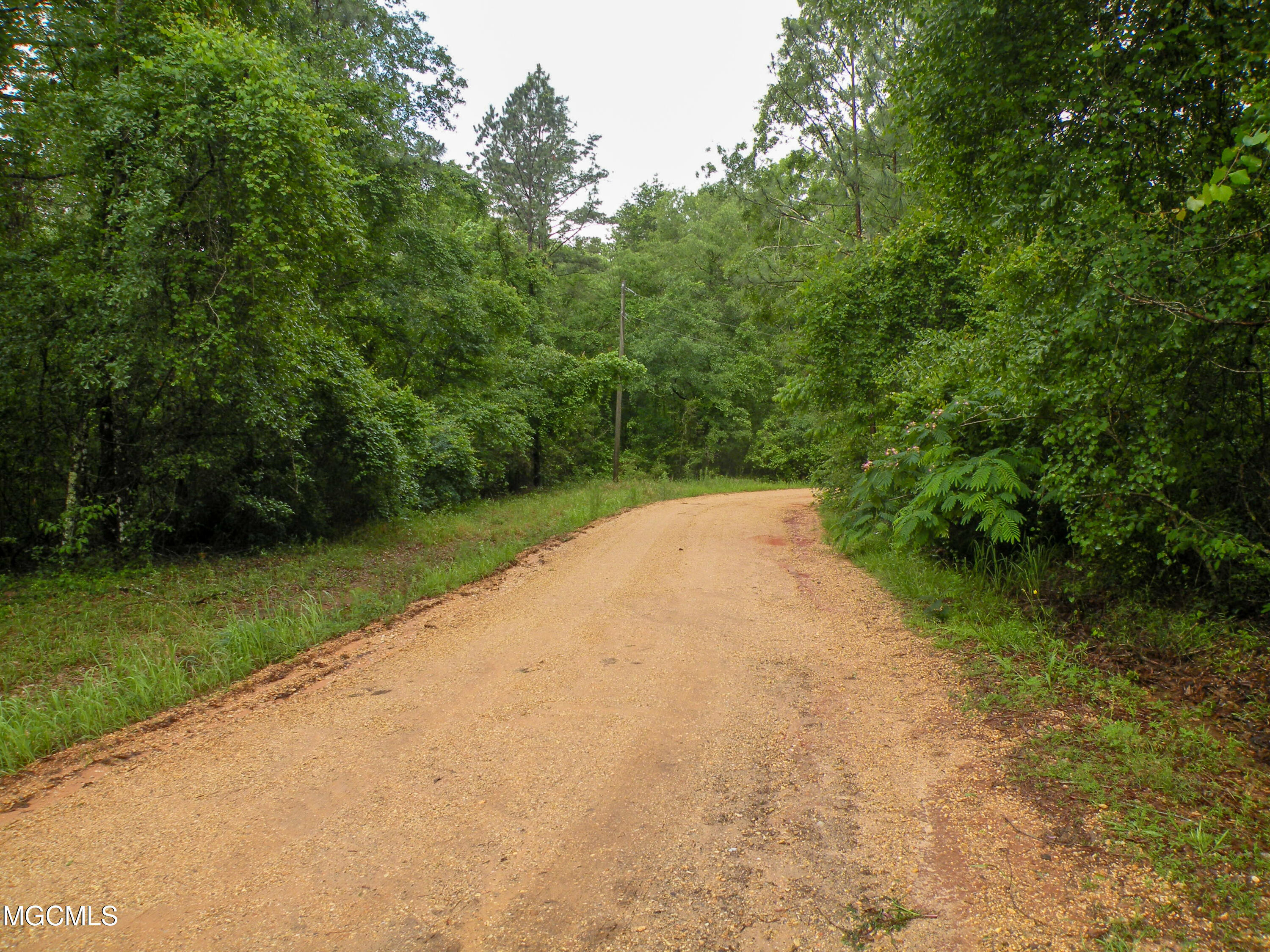 16.73-ac F W G Road Lucedale, MS 39452 - Photo 1 of 13 DSCN9871