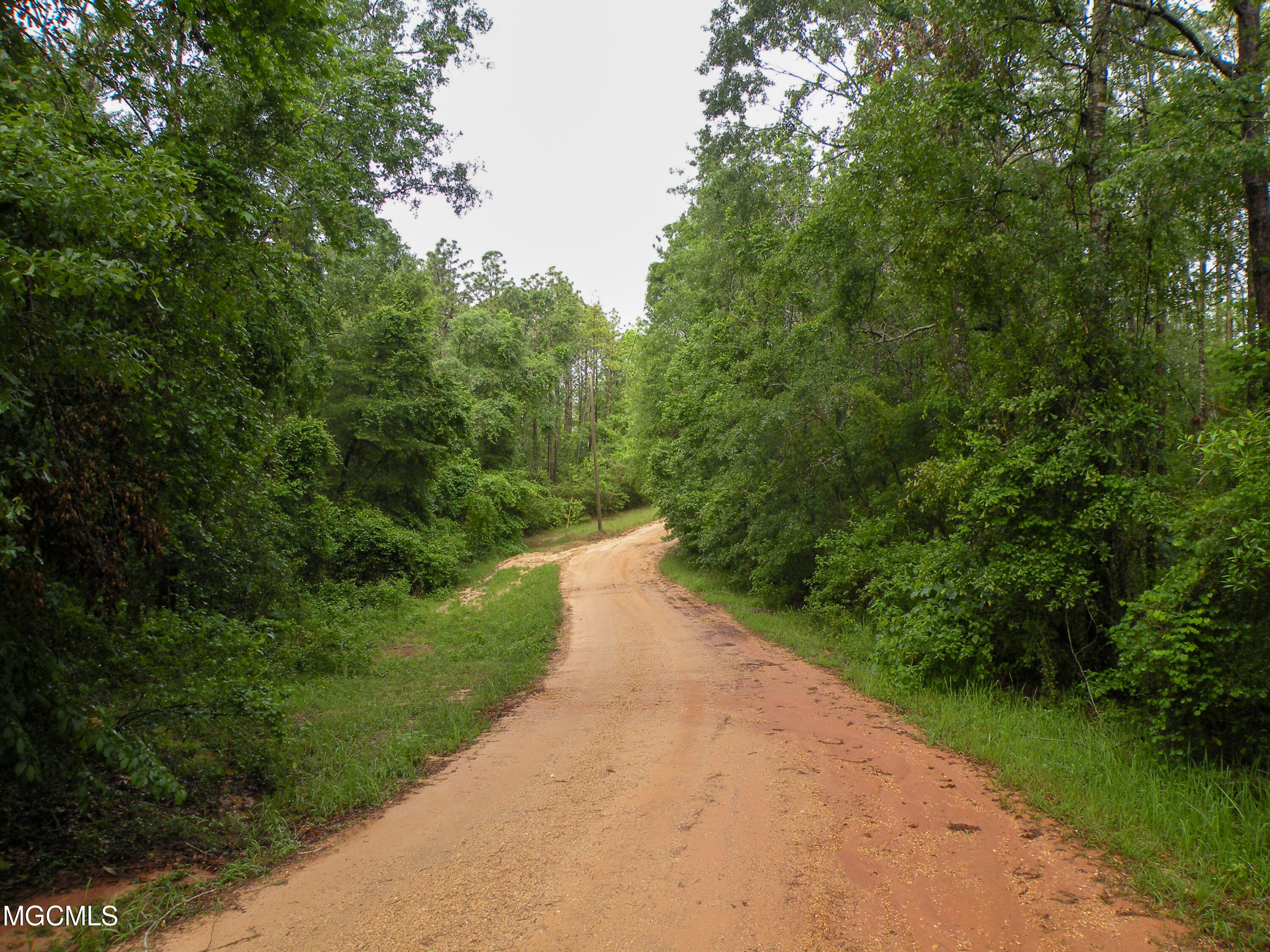16.73-ac F W G Road Lucedale, MS 39452 - Photo 2 of 13 DSCN9873