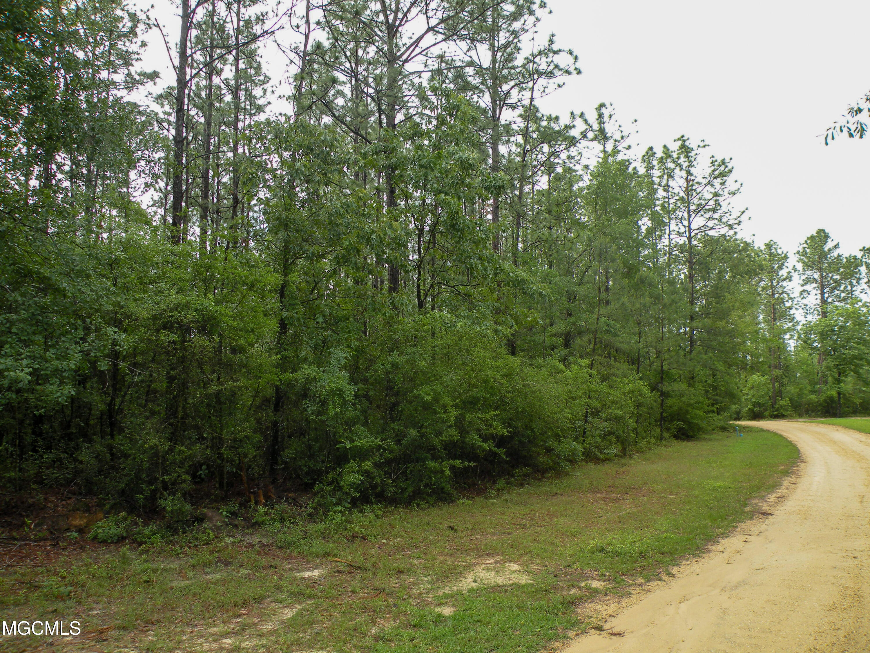 16.73-ac F W G Road Lucedale, MS 39452 - Photo 6 of 13 DSCN9877