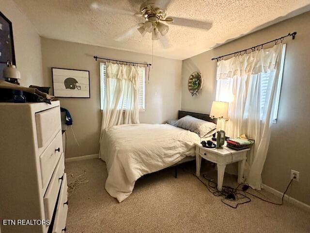 554 McLin Hollow Road Rose Hill, VA 24281 - Photo 19 of 26 Bedroom #2