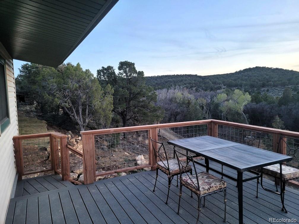 23855 Horsefly Road Montrose, CO 81403 - Photo 18 of 35