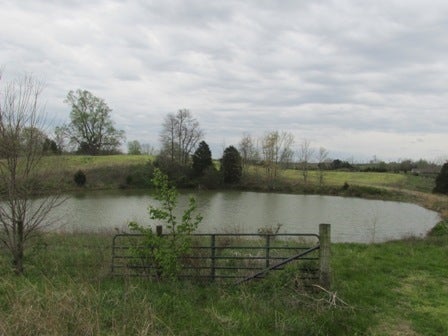 Fairview Church Road Smiths Grove, KY 42171 - Photo 26 of 34 Gallery Image 26
