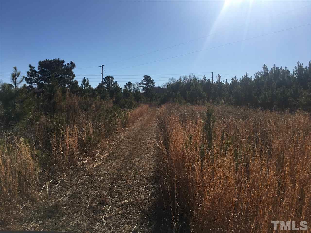 Dead Road Bunn, NC 27508 - Photo 1 of 4 Gallery Image 1