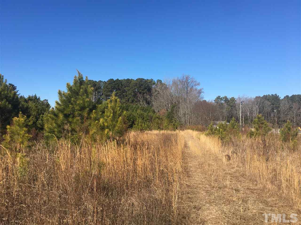Dead Road Bunn, NC 27508 - Photo 2 of 4 Gallery Image 2