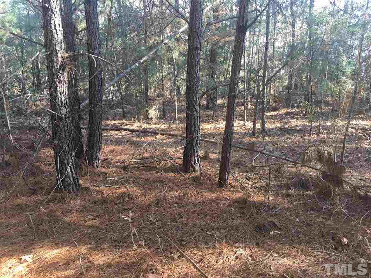 Dead Road Bunn, NC 27508 - Photo 3 of 4 Gallery Image 3
