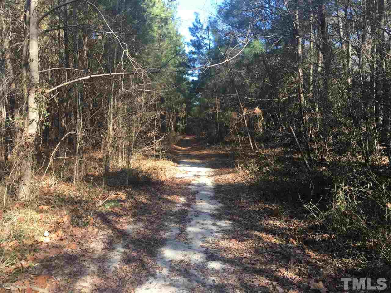 Dead Road Bunn, NC 27508 - Photo 4 of 4 Gallery Image 4