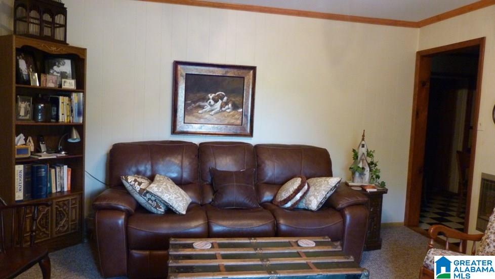 4339 County Road 31 Lineville, AL 36266 - Photo 20 of 29