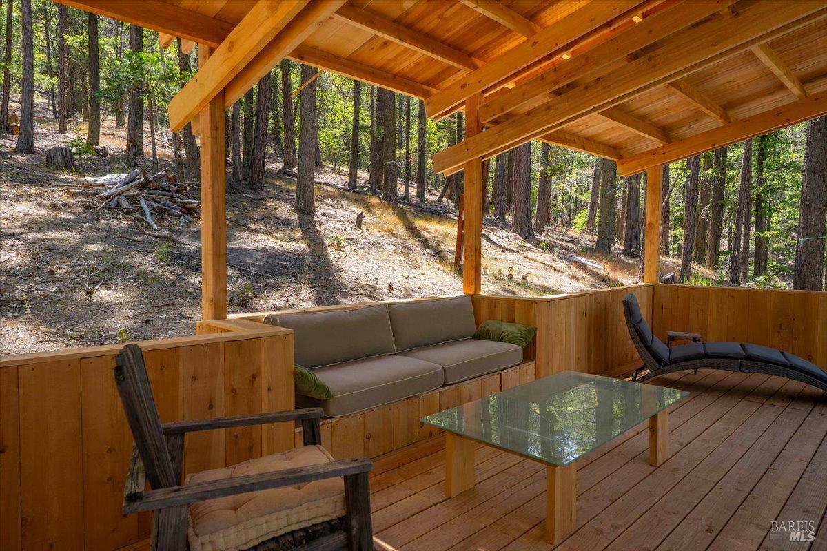 100 Blue Wolf Ranch Callahan, CA 96014 - Photo 32 of 46
