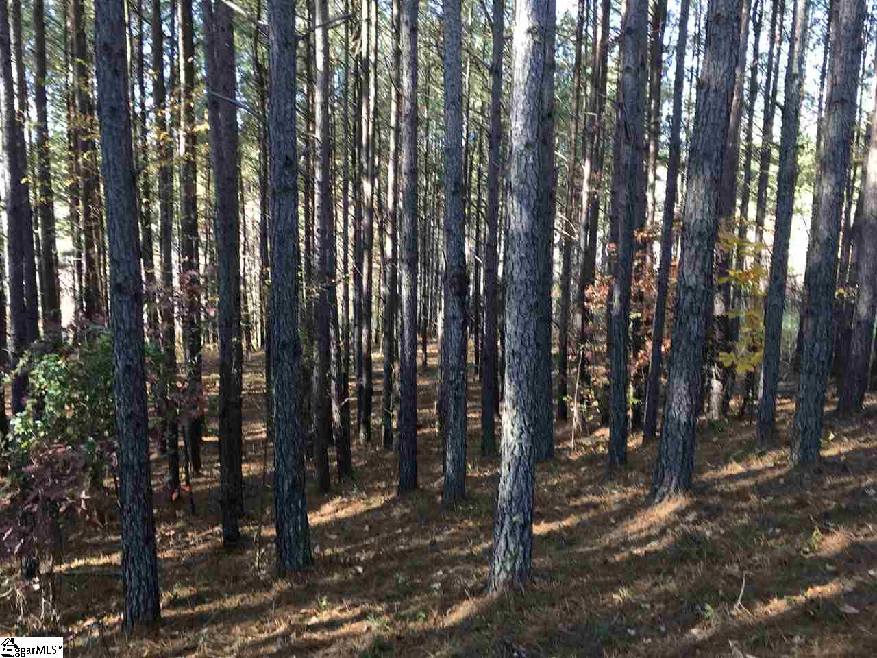 Lot 129 Catawba Road, Unit LOT # 129 Gaffney, SC 29341 - Photo 2 of 9