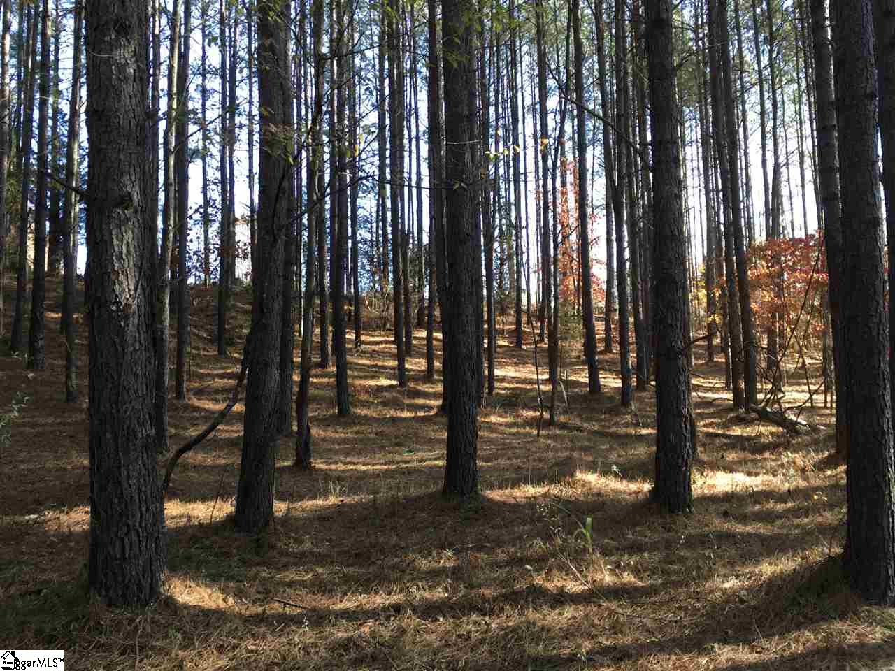 Lot 129 Catawba Road, Unit LOT # 129 Gaffney, SC 29341 - Photo 3 of 9