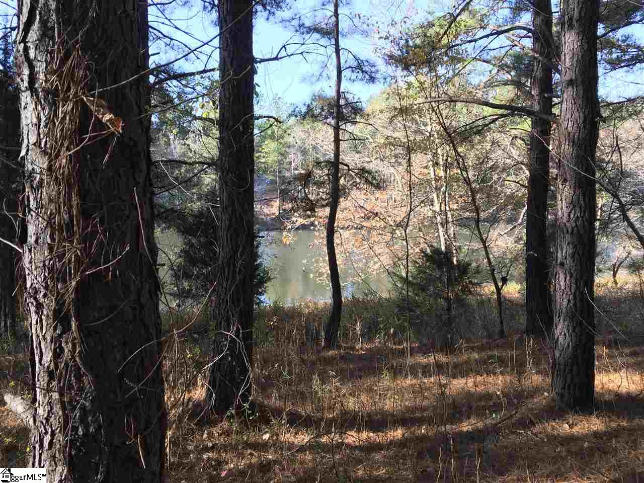 Lot 129 Catawba Road, Unit LOT # 129 Gaffney, SC 29341 - Photo 4 of 9