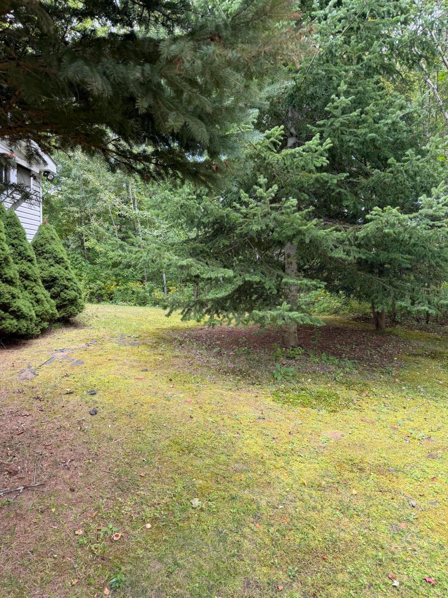 19 South Junction Road Plattsburgh, NY 12901 - Photo 6 of 36 Gallery Image 6
