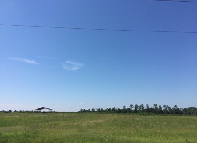 1440 Strickland Road Headland, AL 36345 - Photo 1 of 1