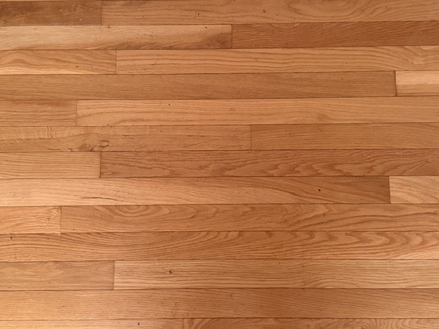 2803 Curtis Road Champaign, IL 61822 - Photo 3 of 30 Gallery Image 3
