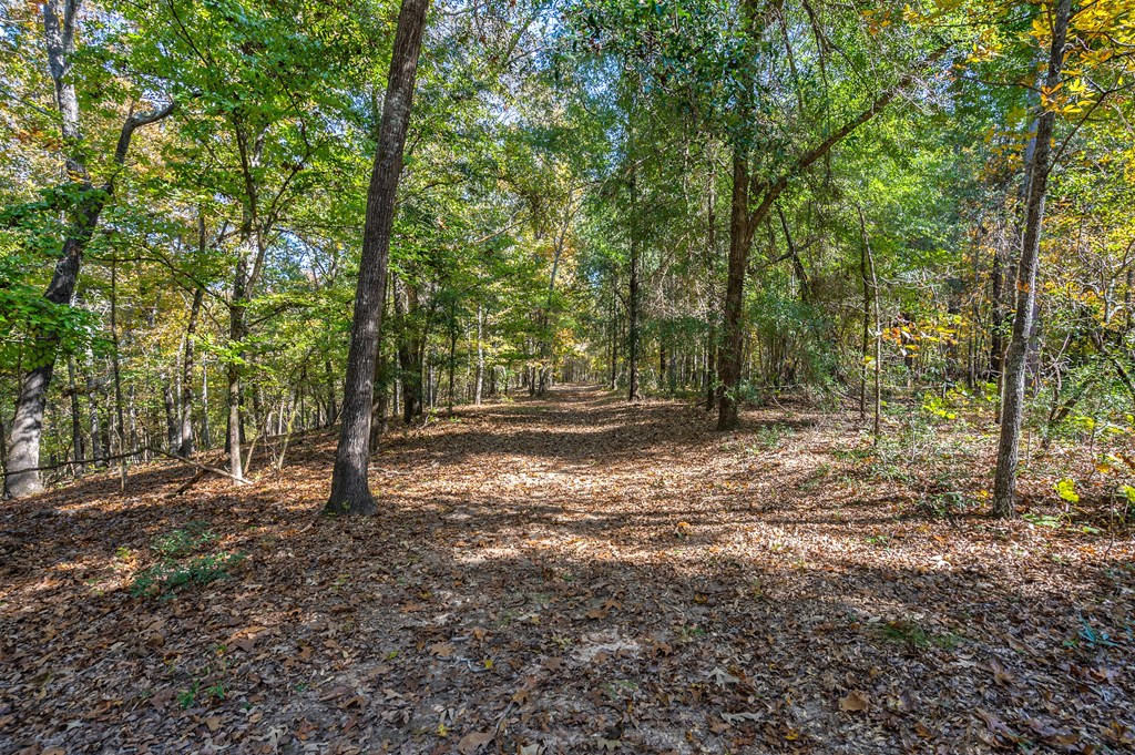 831 Knight Road Hephzibah, GA 30815 - Photo 16 of 73 Gallery Image 16
