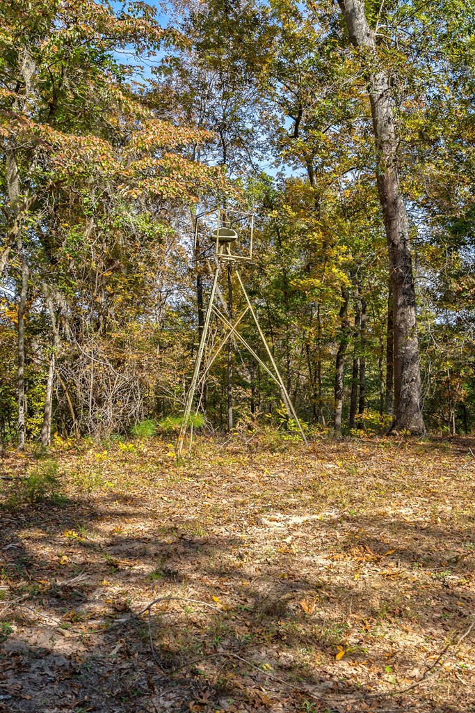 831 Knight Road Hephzibah, GA 30815 - Photo 17 of 73 Gallery Image 17