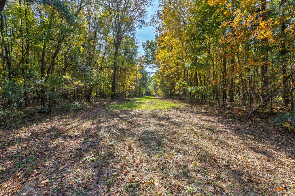 831 Knight Road Hephzibah, GA 30815 - Photo 18 of 73 Gallery Image 18