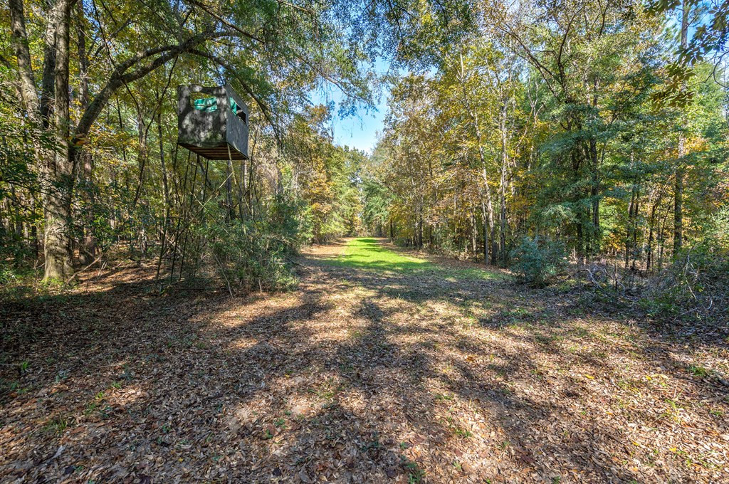 831 Knight Road Hephzibah, GA 30815 - Photo 19 of 73 Gallery Image 19
