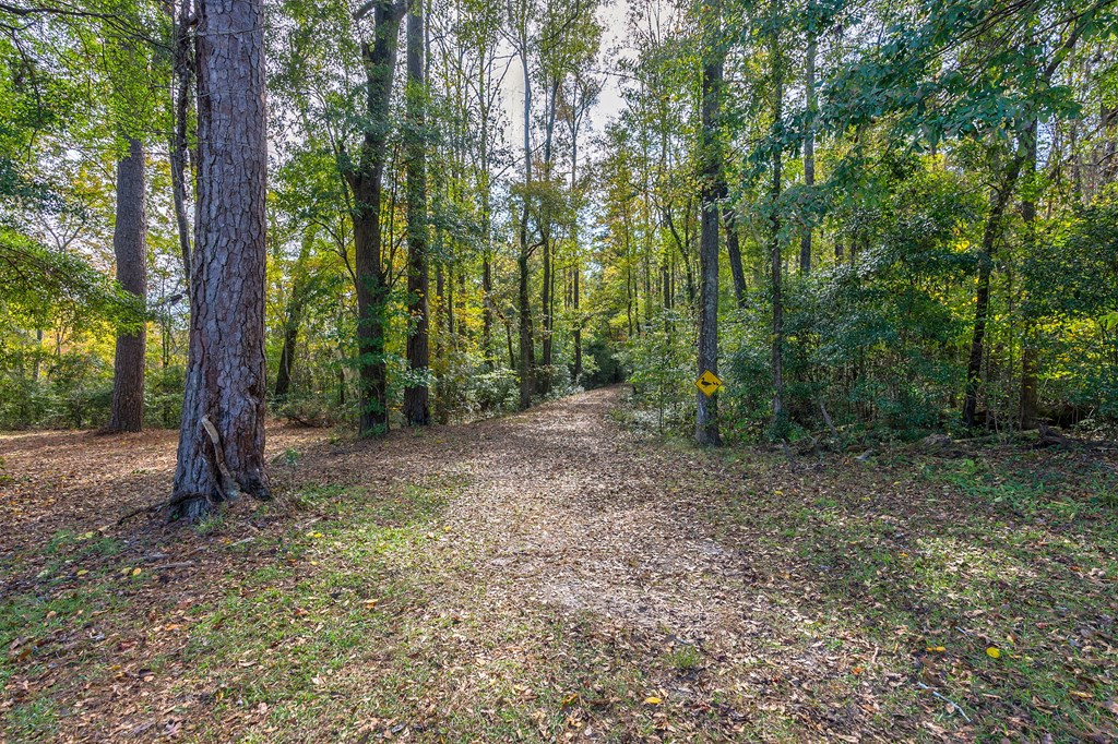 831 Knight Road Hephzibah, GA 30815 - Photo 35 of 73 Gallery Image 35