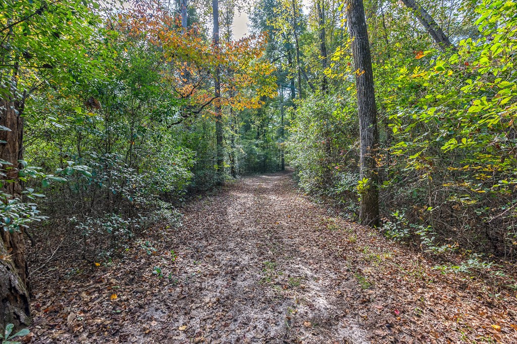 831 Knight Road Hephzibah, GA 30815 - Photo 36 of 73 Gallery Image 36