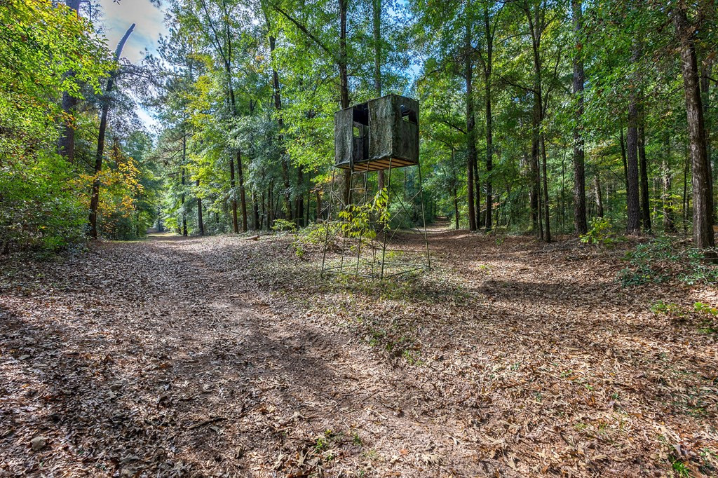 831 Knight Road Hephzibah, GA 30815 - Photo 37 of 73 Gallery Image 37