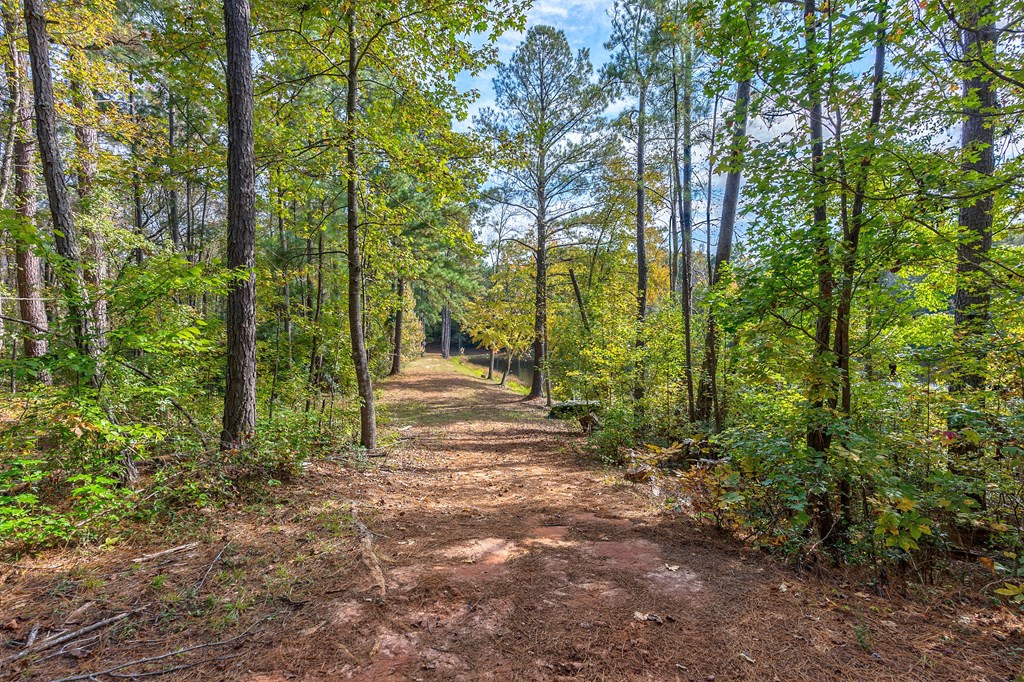 831 Knight Road Hephzibah, GA 30815 - Photo 38 of 73 Gallery Image 38