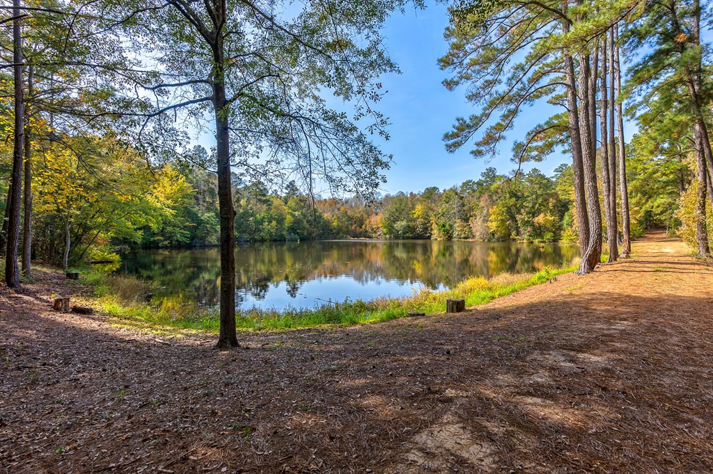 831 Knight Road Hephzibah, GA 30815 - Photo 40 of 73 Gallery Image 40