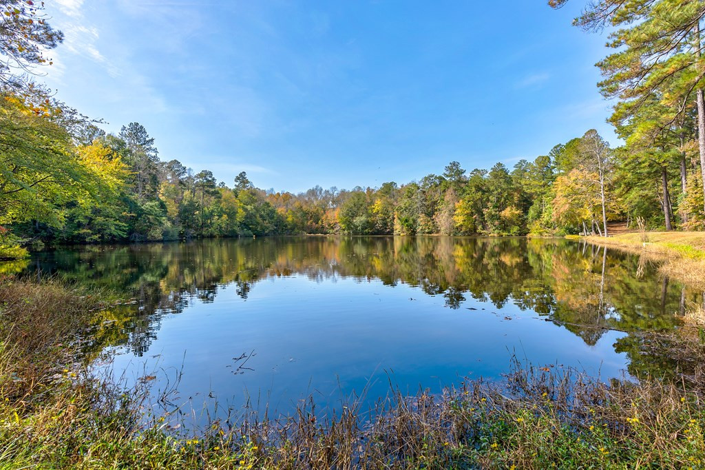 831 Knight Road Hephzibah, GA 30815 - Photo 41 of 73 Gallery Image 41