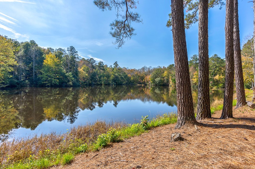 831 Knight Road Hephzibah, GA 30815 - Photo 44 of 73 Gallery Image 44