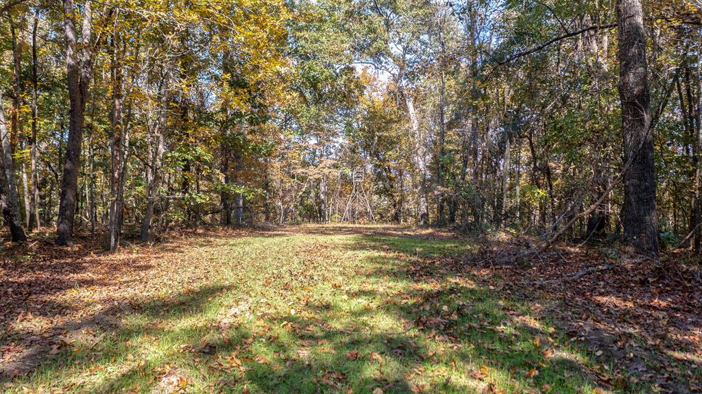 831 Knight Road Hephzibah, GA 30815 - Photo 73 of 73 Gallery Image 73